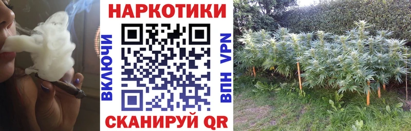 Где найти наркотики Бийск COCAIN  Героин  A-PVP  Амфетамин  Гашиш  Меф мяу мяу 