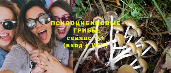 кокс Липки