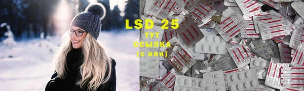 PSILOCYBIN Баксан