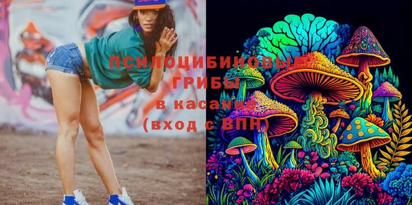 каннабис Аркадак