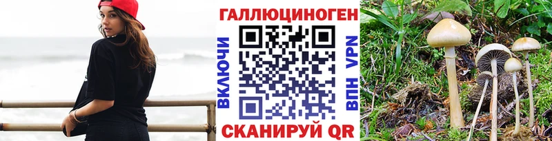 Псилоцибиновые грибы MAGIC MUSHROOMS  как найти наркотики  Бийск 